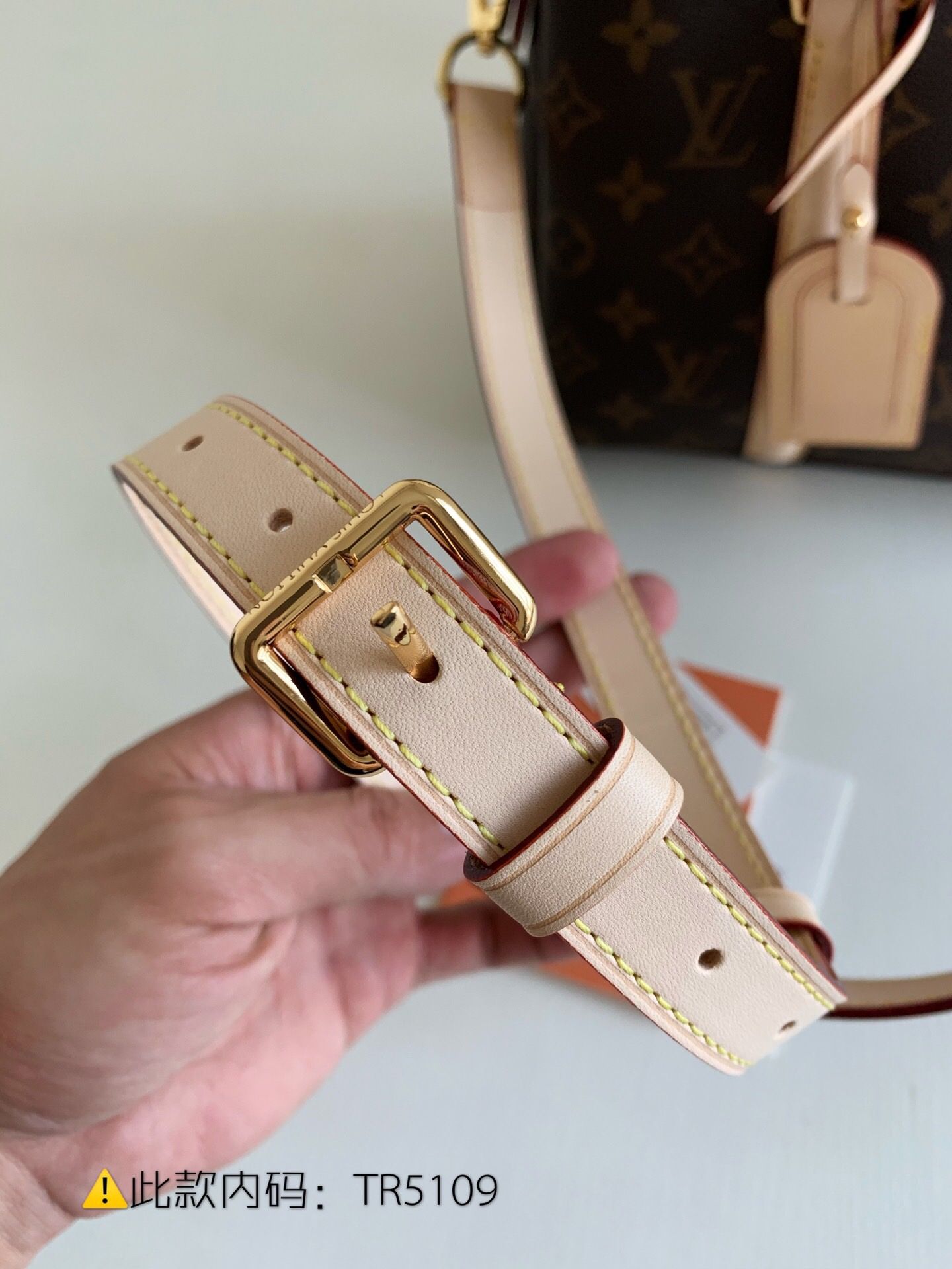 LV M44815 SOUFFLOT BB 手袋 老花斜挎手提包