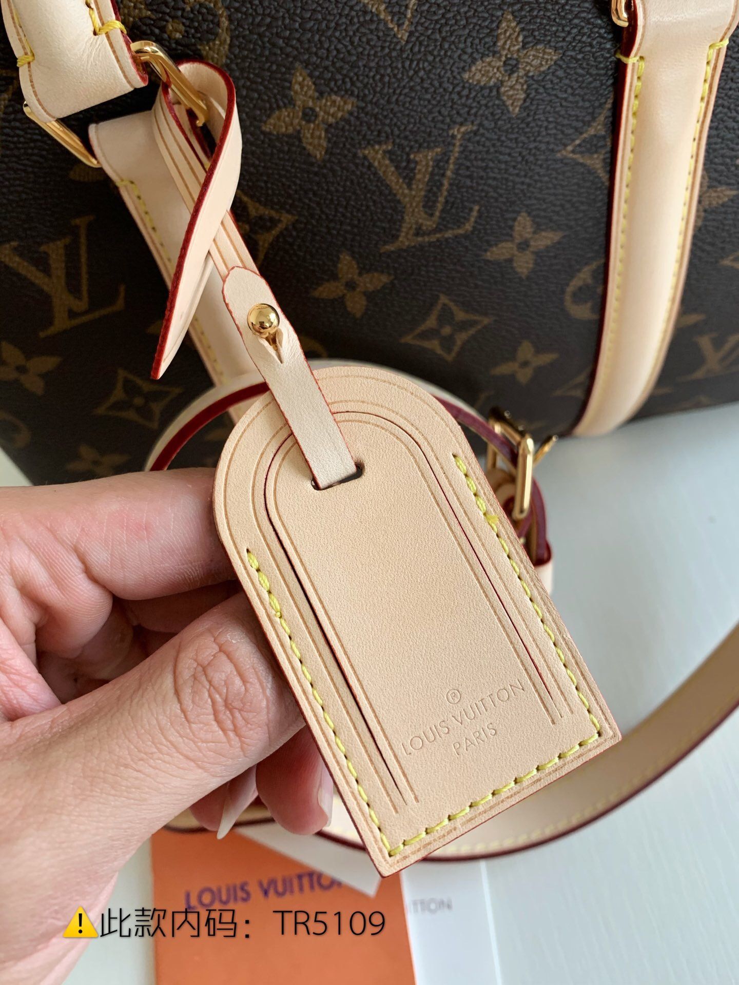 LV M44815 SOUFFLOT BB 手袋 老花斜挎手提包