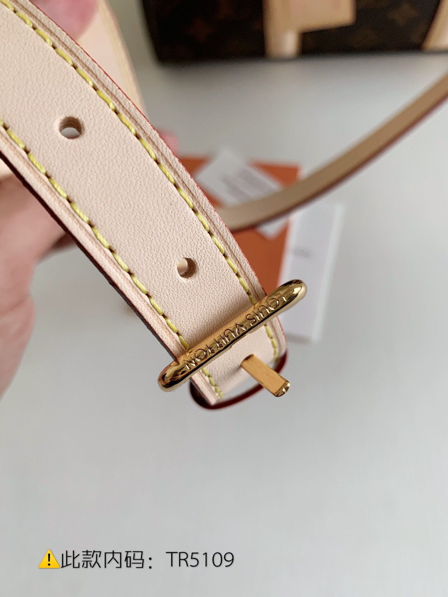 LV M44815 SOUFFLOT BB 手袋 老花斜挎手提包