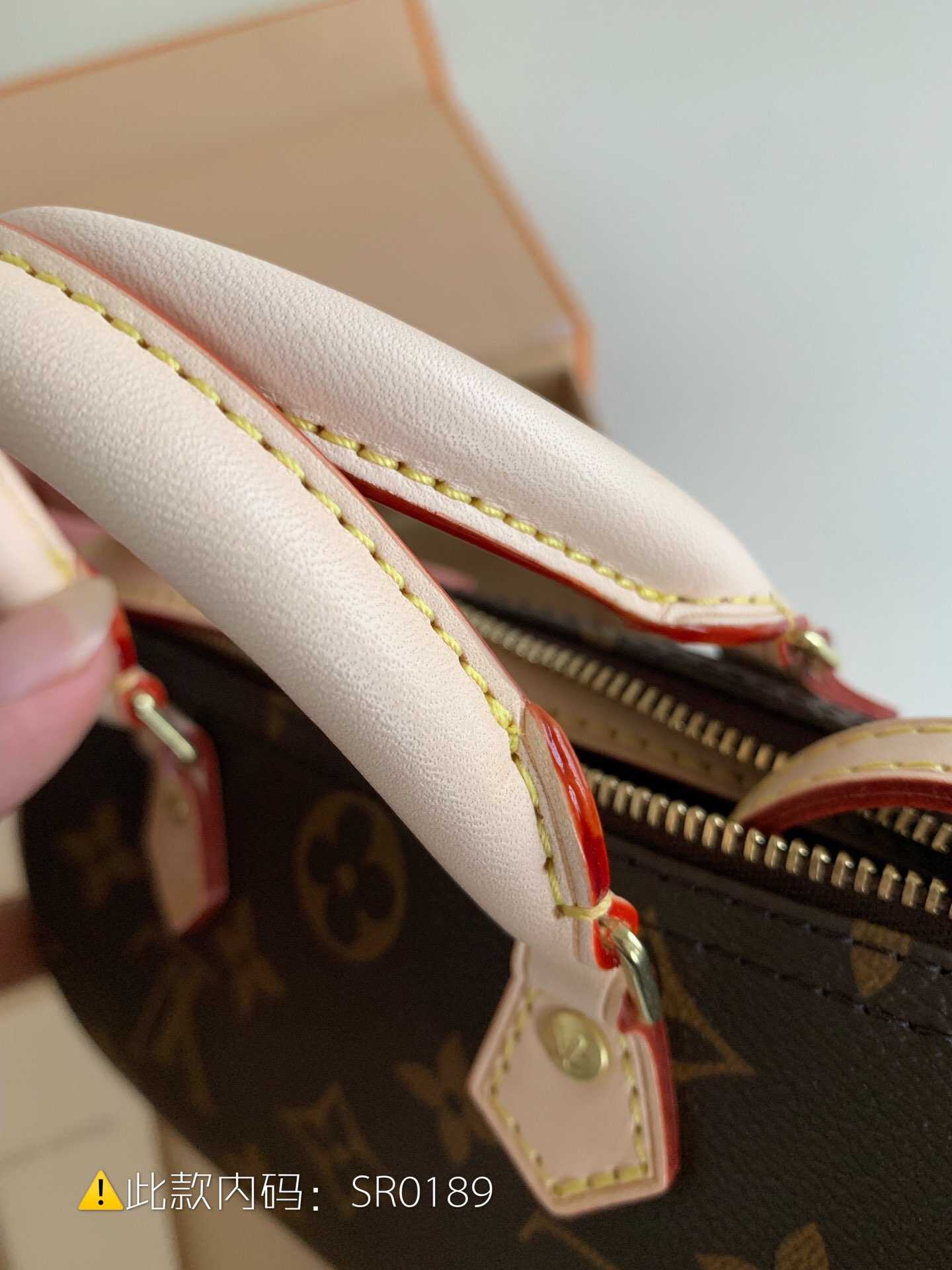 LV Monogram Nano Speedy手袋 老花色迷你枕头包 M61252