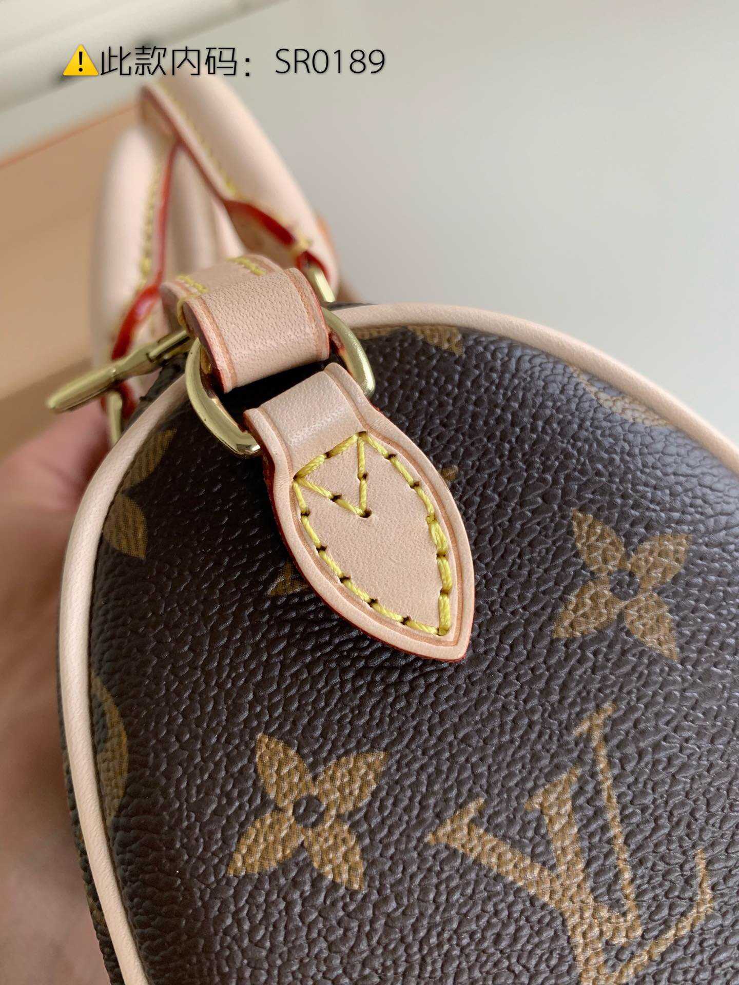 LV Monogram Nano Speedy手袋 老花色迷你枕头包 M61252