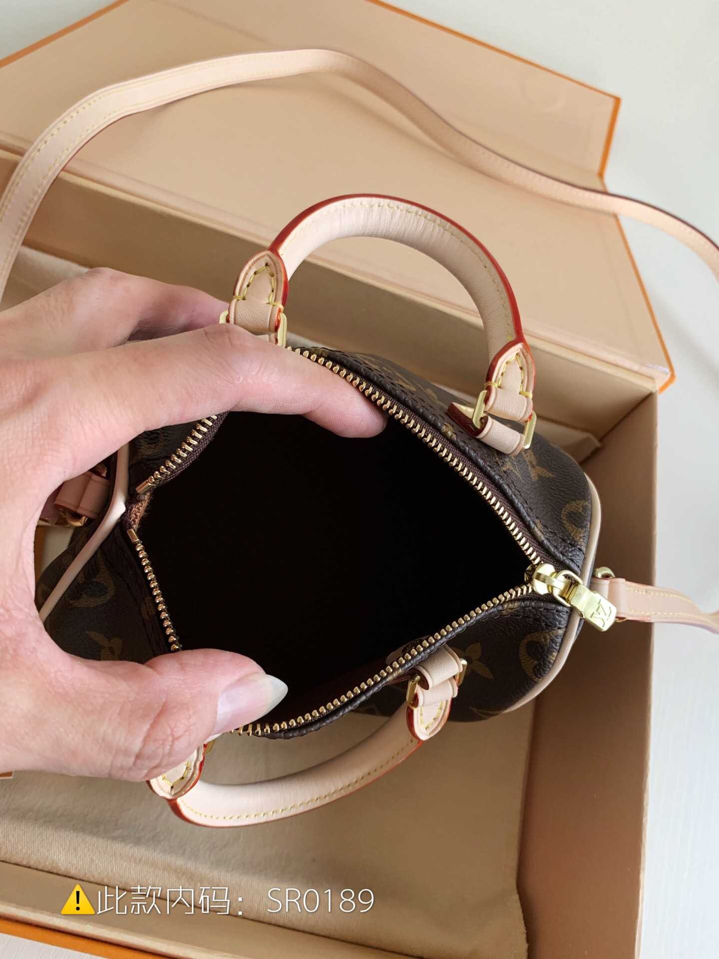 LV Monogram Nano Speedy手袋 老花色迷你枕头包 M61252