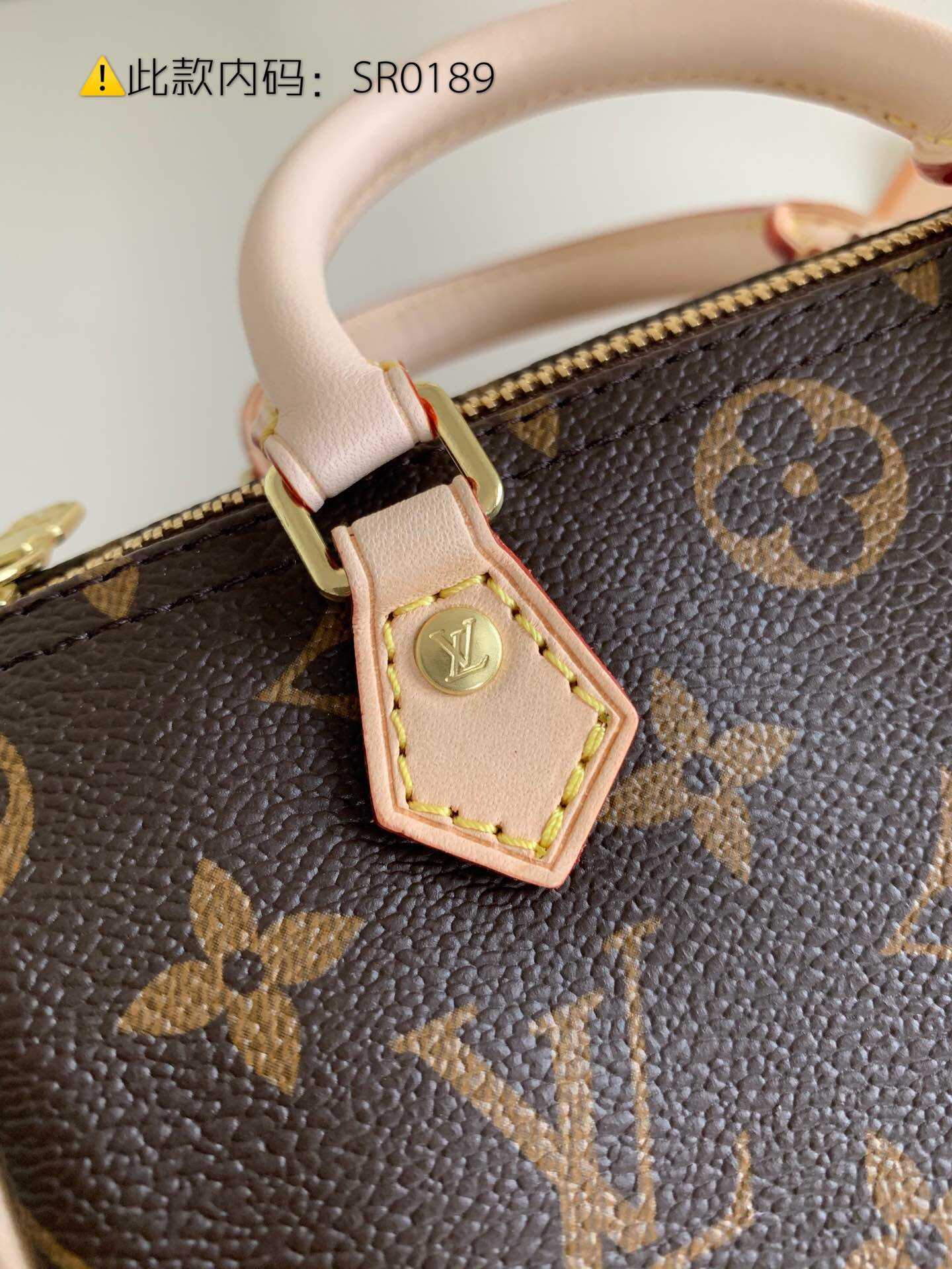 LV Monogram Nano Speedy手袋 老花色迷你枕头包 M61252