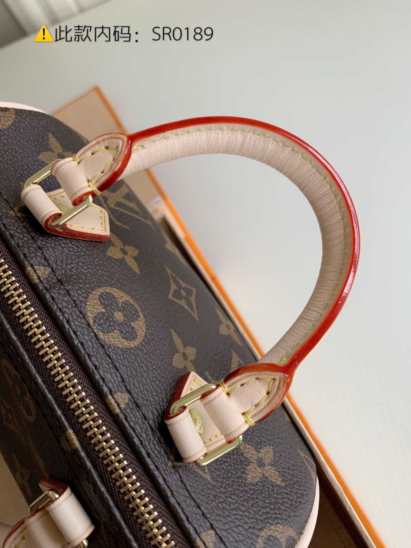 LV Monogram Nano Speedy手袋 老花色迷你枕头包 M61252
